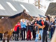 NH220326-24 - Thewoodcorner